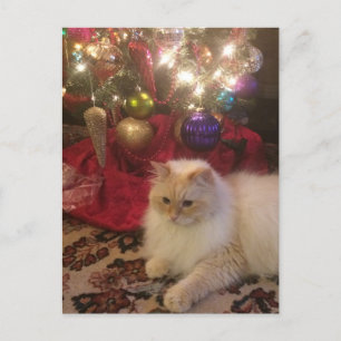 Carte Postale Joyeux Noël et Bonne Année