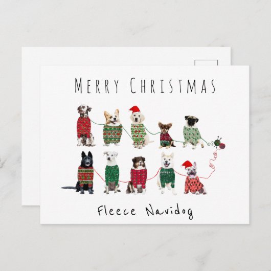 Carte Postale Joyeux Noël Fleece Navidog chiens pull tricoté (Devant / Derrière)