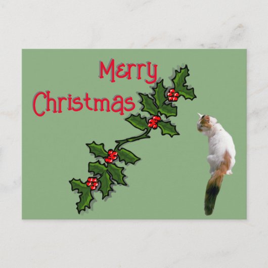 Carte postale - Joyeux Noël Holly et Calico Cat (Devant)