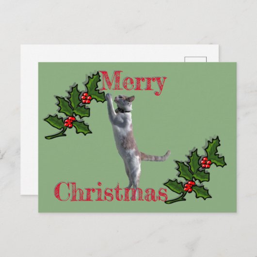 Carte postale - Joyeux Noël Holly et Chat (Devant / Derrière)