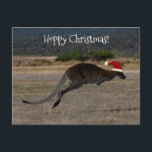 Carte Postale Joyeux Noël Houblonné Kangourou Chapeau Rouge de P<br><div class="desc">Qui n'aime pas cet animal australien emblématique ? Rendez Noël de tous vos proches beaucoup plus heureux avec cette carte de vœux unique et sa photo époustouflante d'un kangourou qui saute en plein vol. Pour l'occasion, il porte un chapeau de Père Noël rouge ! Les plaines immenses débordant de vie...</div>