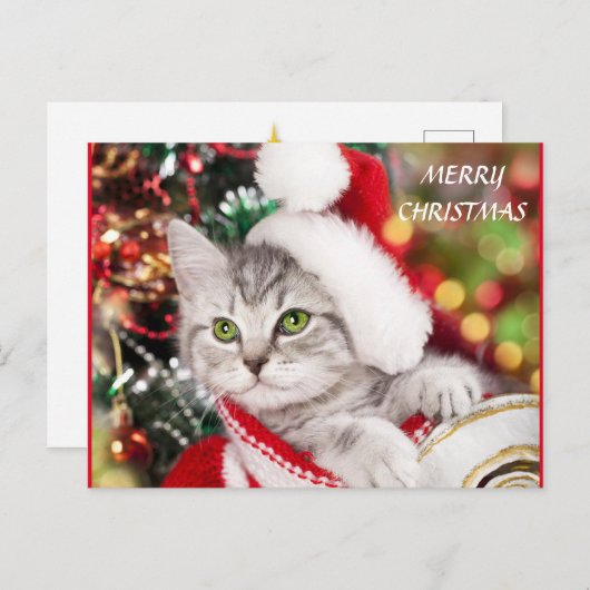 Carte Postale Joyeux Noël Kitten (Devant / Derrière)