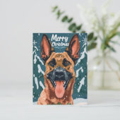 Carte Postale Joyeux Noël Malinois belge (Debout devant)