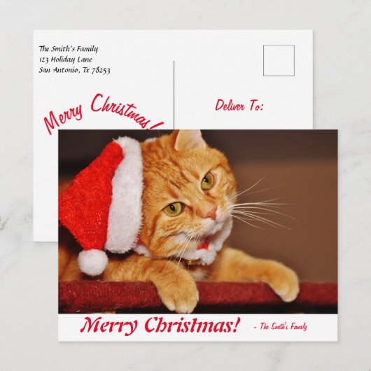 Carte Postale Joyeux Noël Orange Tabby Tabby Post personnalisé (Devant / Derrière)