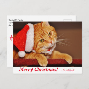 Carte Postale Joyeux Noël Orange Tabby Tabby Post personnalisé