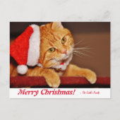 Carte Postale Joyeux Noël Orange Tabby Tabby Post personnalisé (Devant)
