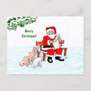 Carte Postale Joyeux Noël! Père Noël avec chat et chien