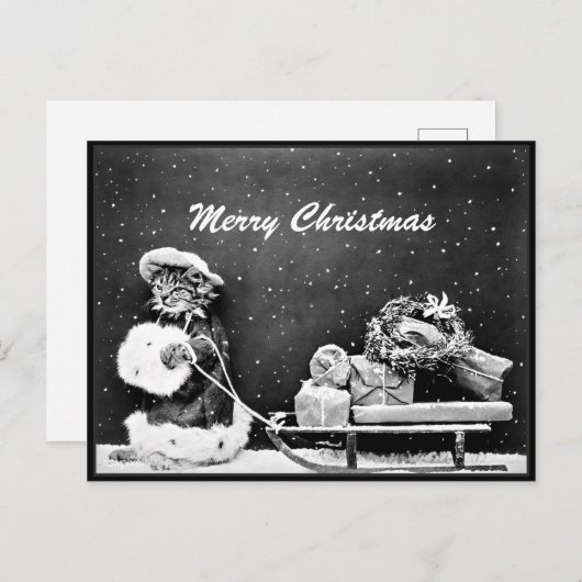 Carte Postale Joyeux Noël Père Noël Chat Noël (Devant / Derrière)