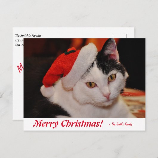 Carte Postale Joyeux Noël personnalisé Chat noir et blanc (Devant / Derrière)