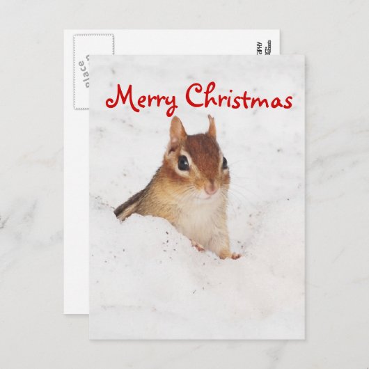 Carte postale Joyeux Noël Petit moignon (Devant / Derrière)