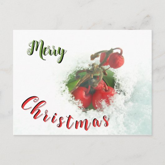 Carte Postale Joyeux Noël Red Berries en Snow Postcard (Devant)