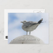 Carte Postale Joyeux oiseau (Devant / Derrière)