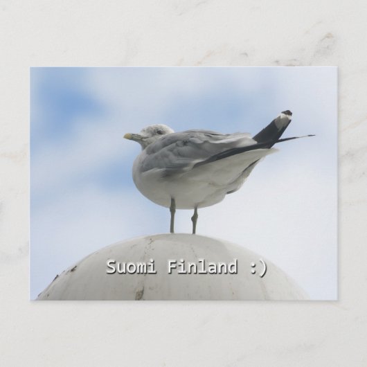 Carte Postale Joyeux oiseau (Devant)