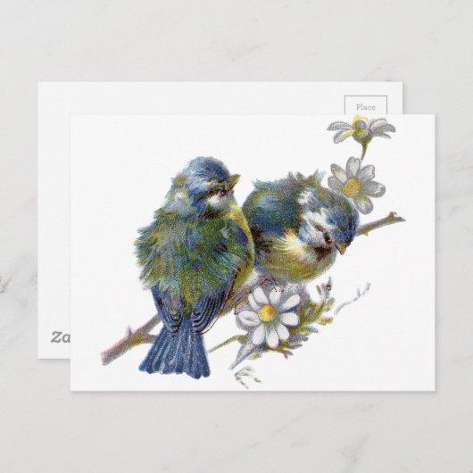 Carte Postale Joyeux oiseaux Vintages (Devant / Derrière)
