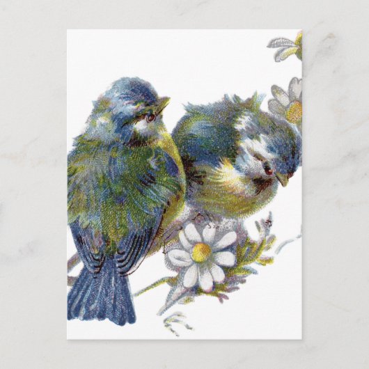 Carte Postale Joyeux oiseaux Vintages (Devant)