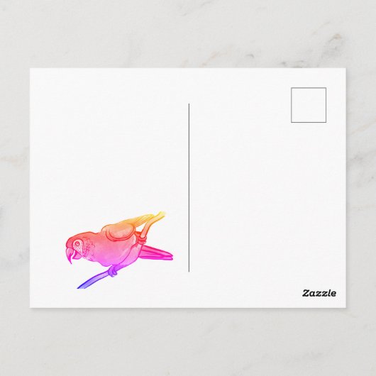 Carte Postale Joyeux perroquet (Dos)