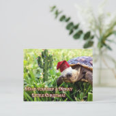 Carte Postale Joyeux petit Noël - Tortue du désert (Debout devant)