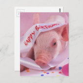 Carte Postale Joyeux porc d'anniversaire (Devant / Derrière)