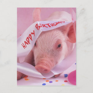 Carte Postale Joyeux porc d'anniversaire