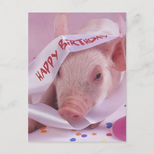 Carte Postale Joyeux porc d'anniversaire (Devant)