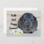 Carte Postale Joyeux porc de Guinée d'été (Devant / Derrière)