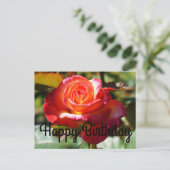 Carte Postale Joyeux Rêve d'anniversaire Venez Véritable Rose #2 (Debout devant)