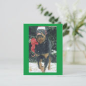 Carte Postale joyeux rottweiler de noël avec chapeau santa, arc, (Debout devant)