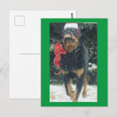 Carte Postale joyeux rottweiler de noël avec chapeau santa, arc, (Devant / Derrière)