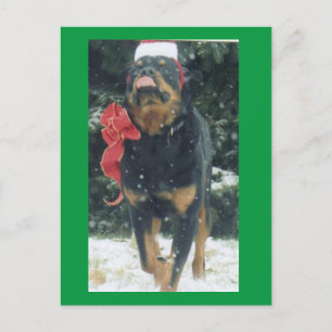 Carte Postale joyeux rottweiler de noël avec chapeau santa, arc,