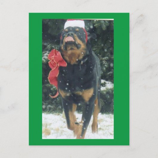 Carte Postale joyeux rottweiler de noël avec chapeau santa, arc, (Devant)