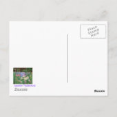 Carte Postale Joyeux sentiers ! (Dos)