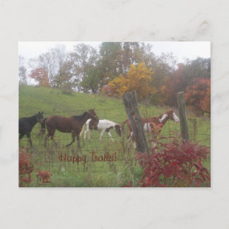 Carte Postale Joyeux sentiers !