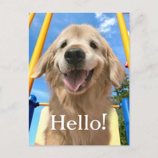 Carte Postale Joyeux Smiling Golden Retriever (Devant)