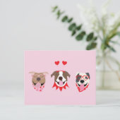 Carte Postale Joyeux Valentines Day American Pit Bull Terriers (Debout devant)