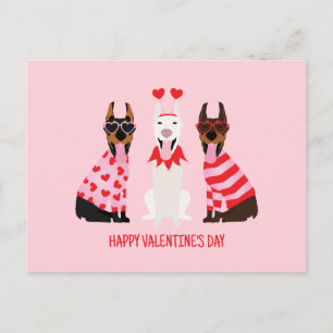 Carte Postale Joyeux Valentines Day Chiens Dobermann