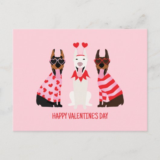 Carte Postale Joyeux Valentines Day Chiens Dobermann (Devant)