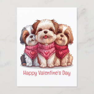 Carte Postale Joyeux Valentines Day Chih Tzu Chiens