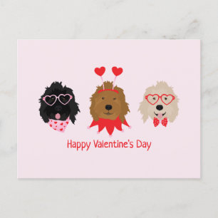 Carte Postale Joyeux Valentines Day Mini Goldendoodle Chiens
