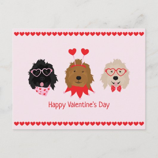 Carte Postale Joyeux Valentines Day Mini Goldendoodle Chiens (Devant)
