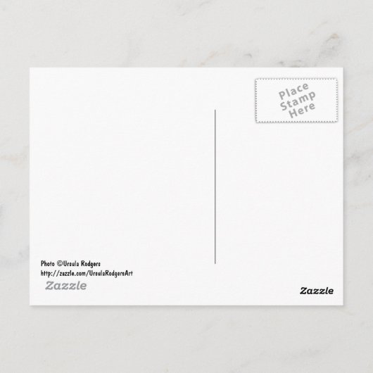 Carte Postale Joyeux visage (Dos)