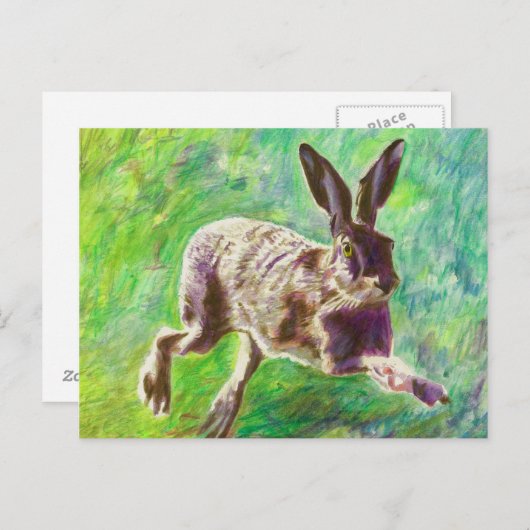 Carte Postale Joyful hare 2011 (Devant / Derrière)