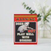 CARTE POSTALE JRT AVERTISSEMENT - NE JOUE PAS BIEN AVEC LES AUTR (Debout devant)