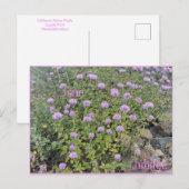 Carte Postale Juillet (Devant / Derrière)