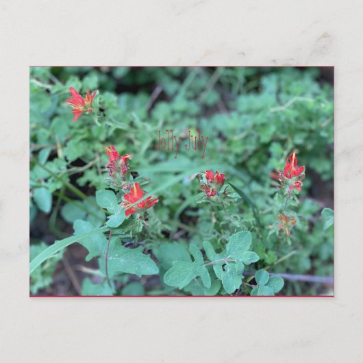 Carte postale juillet (Devant)