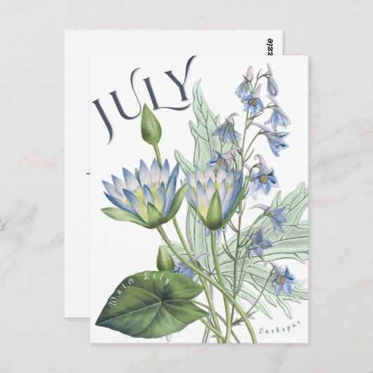 Carte Postale Juillet Mois Fleurs Larkspur Eau Lily Fancy (Devant / Derrière)