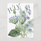 Carte Postale Juillet Mois Fleurs Larkspur Eau Lily Fancy (Devant)
