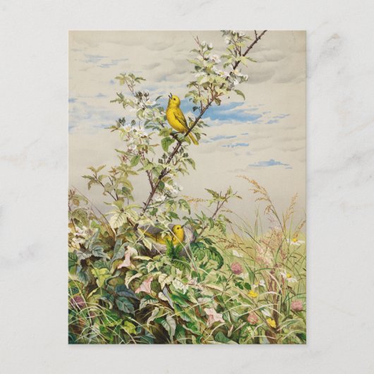 Carte Postale Juin | Fidelia Bridges (Devant)