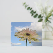 Carte Postale Juin Gerbera Flower in the Sky (Debout devant)