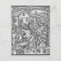 Juin, tonte des moutons, Gemini