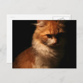 Carte Postale Jule (Devant / Derrière)